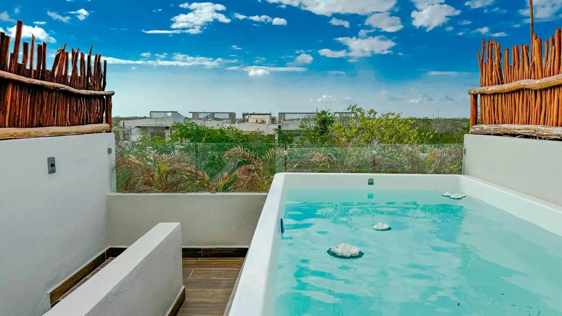 Increible Y Moderno Ph Studio Naia C35 By Sandy Powerful Tulum Apartment